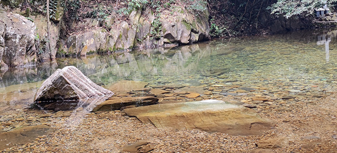 鼎湖山愿望达成